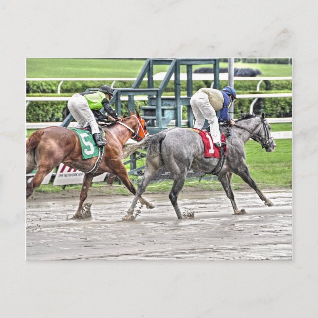 Our Mister Postcard (Front)