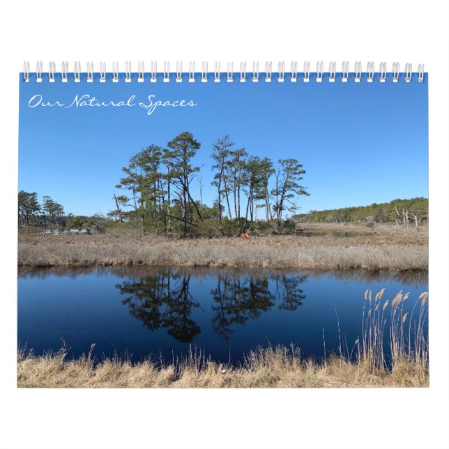 Our Natural Spaces: dreamflower 2026 calendar (Cover)