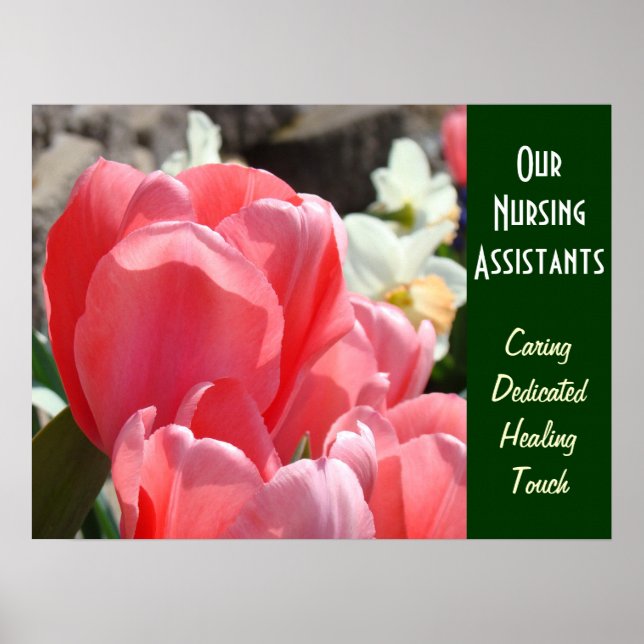 Our Nursing Assistants art prints Caring Healing (Front)