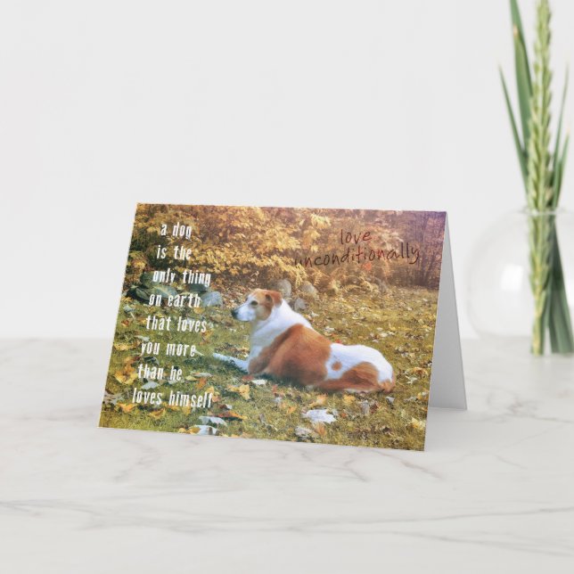 OUR POOCH Greeting Card (Front)