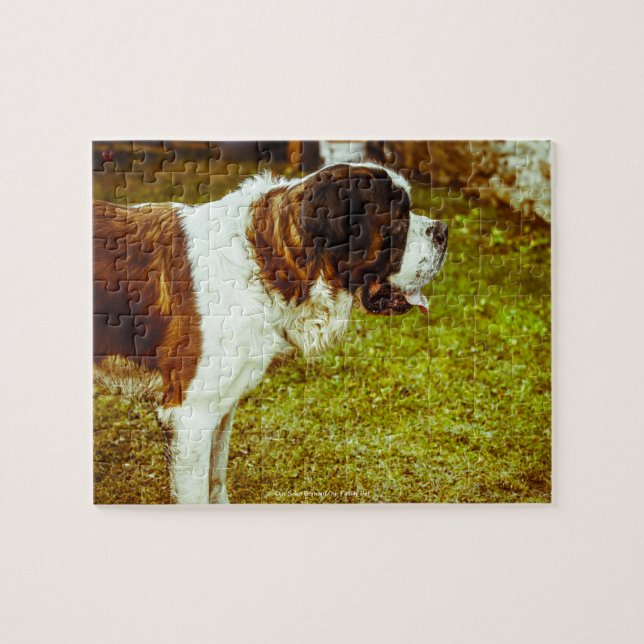 Our Saint Bernard Our Family Pet Jigsaw Puzzle (Horizontal)