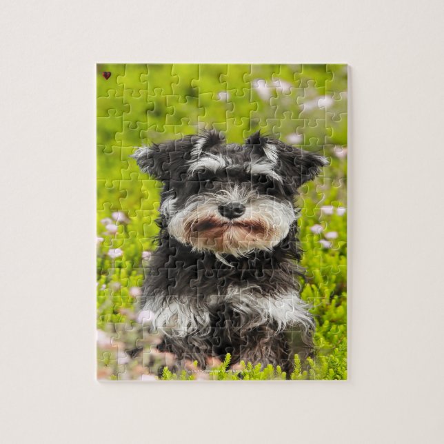 Our Schnauzer Our Family Pet Jigsaw Puzzle (Vertical)