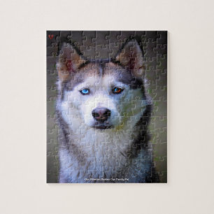 Our Siberian Huskey Our Family Pet Jigsaw Puzzle