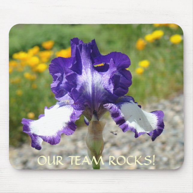 OUR TEAM ROCKS! Office Gift Mousepads Boss Manager (Front)