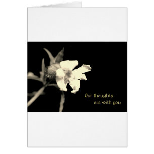 Our thoughts are with you