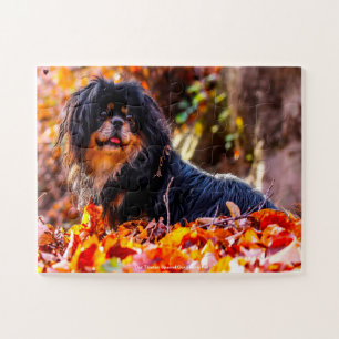 Our Tibetan Spaniel Our Family Pet Jigsaw Puzzle