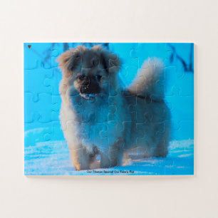Our Tibetan Spaniel Our Family Pet Jigsaw Puzzle