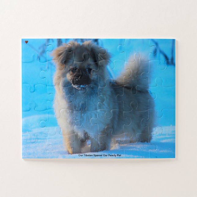 Our Tibetan Spaniel Our Family Pet Jigsaw Puzzle (Horizontal)