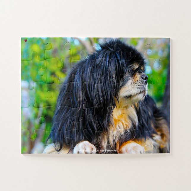Our Tibetan Spaniel Our Family Pet Jigsaw Puzzle (Horizontal)