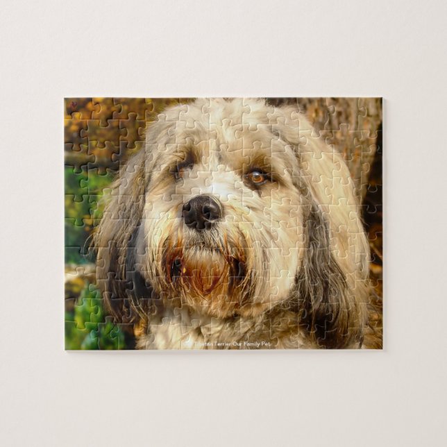 Our Tibetan Terrier Our Family Pet Jigsaw Puzzle (Horizontal)