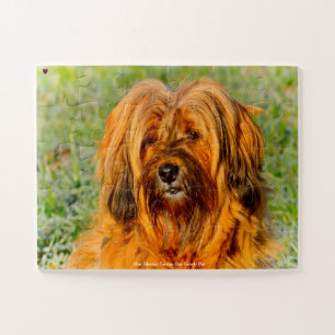 Our Tibetan Terrier Our Family Pet Jigsaw Puzzle