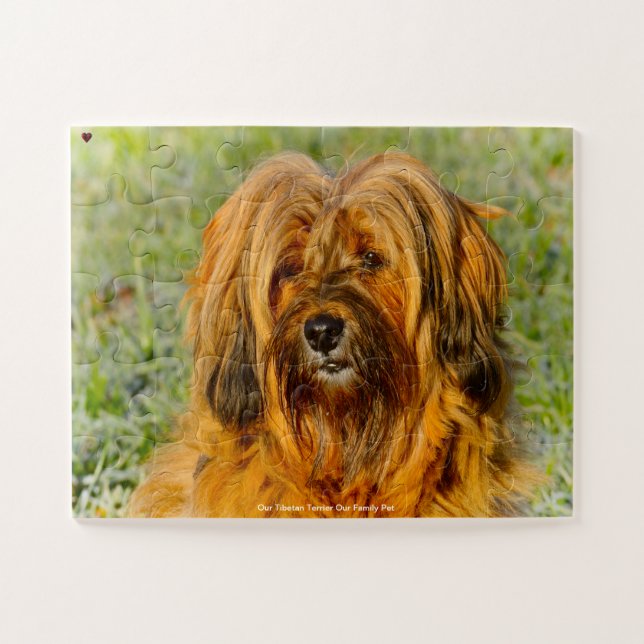 Our Tibetan Terrier Our Family Pet Jigsaw Puzzle (Horizontal)