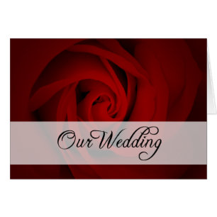 Our Wedding : Red Rose :