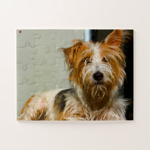 Our Westie Our Family Pet Jigsaw Puzzle