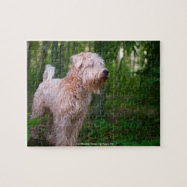Our Wheaten Terrier Our Family Pet Jigsaw Puzzle (Horizontal)