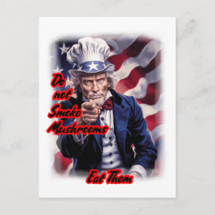 Our White Red Blue Uncle Sam gives advice on a Holiday Postcard