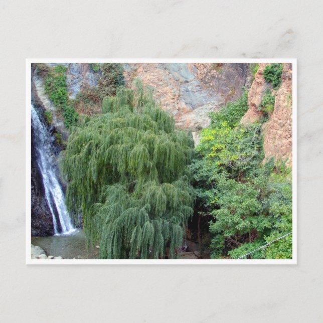 ourika falls postcard (Front)