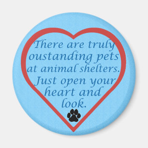 Oustanding Pets Magnet