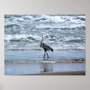 Out for a Morning Stroll Poster