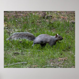 Out for a Run Poster