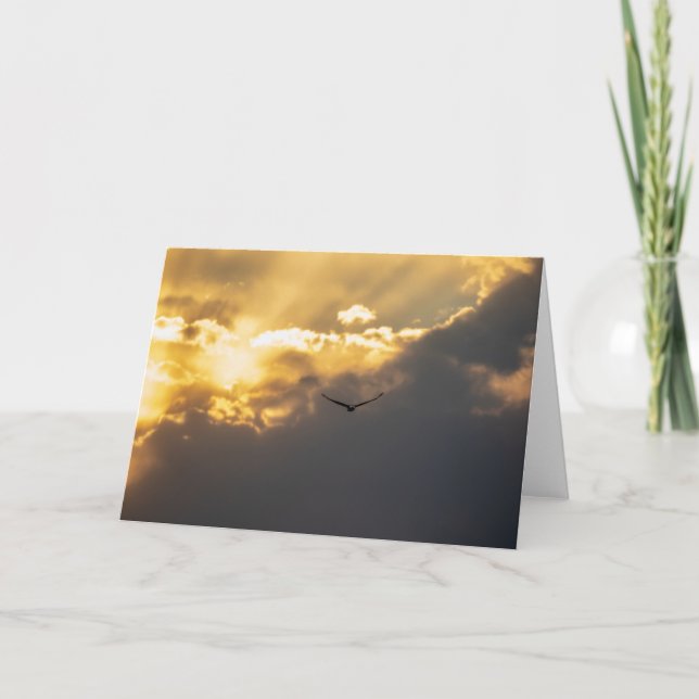 Out Of The Sun Bald Eagle Card (Front)