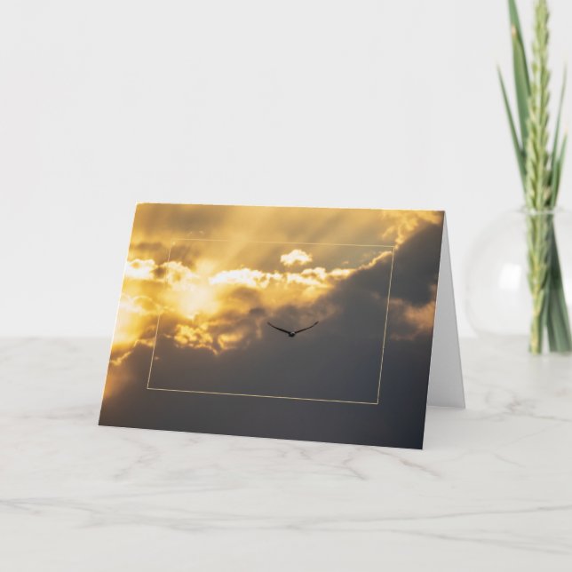 Out Of The Sun Bald Eagle With Border Card (Front)