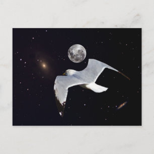 Out of This World Postcard