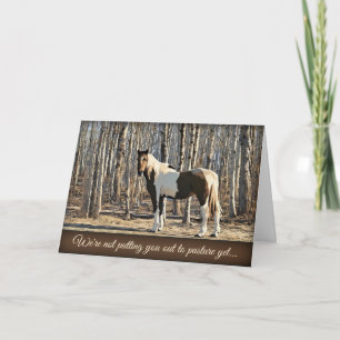 Out to Pasture - Birthday Card