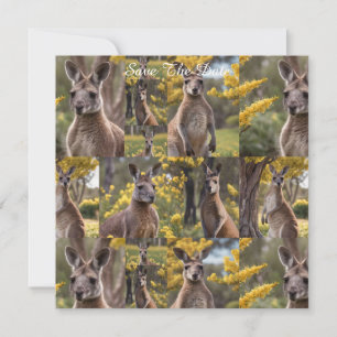 Outback Beauty: Kangaroo And Wattle Photo Collage Save The Date