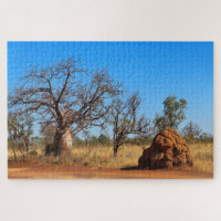 Outback boab tree and termite mound, Australia