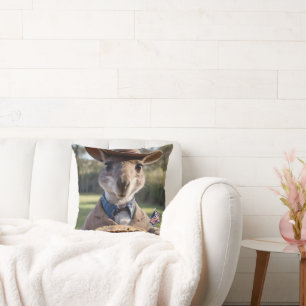 "Outback Delight: A Kangaroo Eats Aussie Meat Pie Cushion
