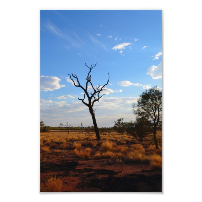 Outback landscape photo print (Front)