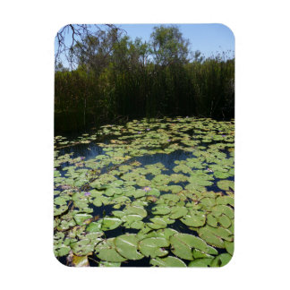 Outback Lily Pads Flexible Photo Image Magnet