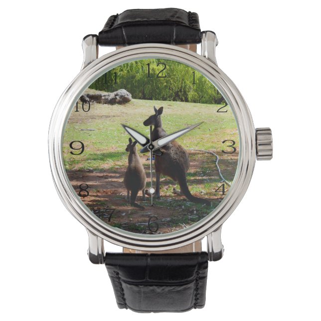 Outback Love: Kangaroo And Her Joey,  Watch (Front)