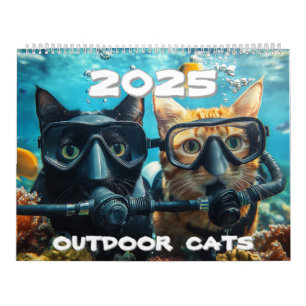 Outdoor Cats 2025 Calendar