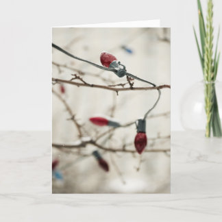 Outdoor Christmas Tree Holiday Card