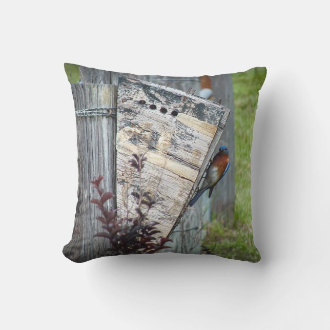 Outdoor Cushion (Front)