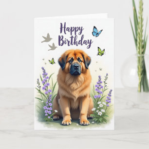 Outdoor Dog Birthday Card