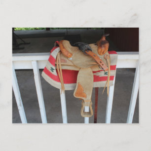 Outdoor Still-Life # 3 Postcard
