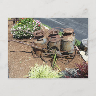Outdoor Still-Life # 7 Postcard