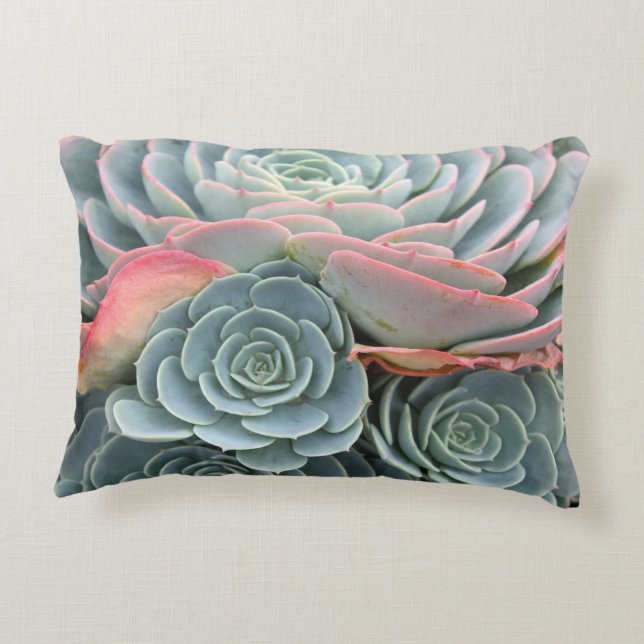 Outdoor Succulent Pillow, Blue Echeverias Decorative Cushion (Back)
