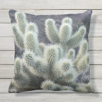 Outdoor Throw Pillow