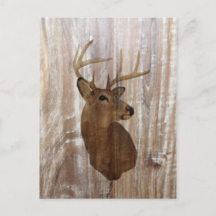 Outdoorsman Western Primitive barn wood deer Postcard