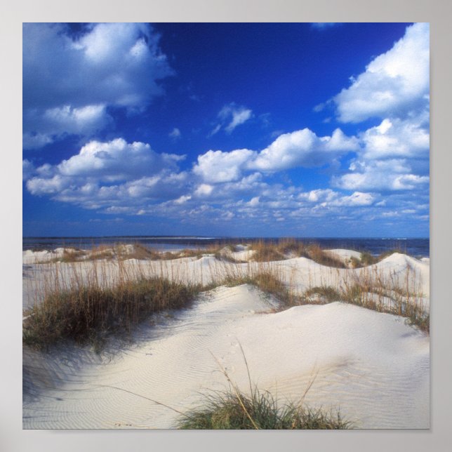 Outer Banks Dunes Poster (Front)