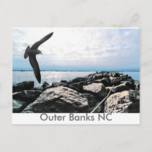 Outer Banks NC Postcard