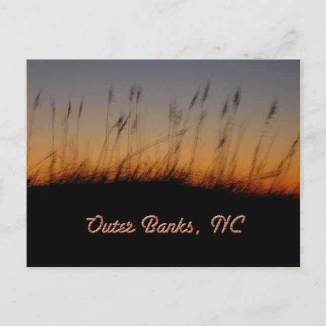 Outer Banks NC Sea Oats and Dunes at Sunset Postcard (Front)