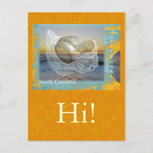 Outer Banks North Carolina Seashell & Surf Postcard