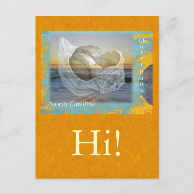 Outer Banks North Carolina Seashell & Surf Postcard (Front)