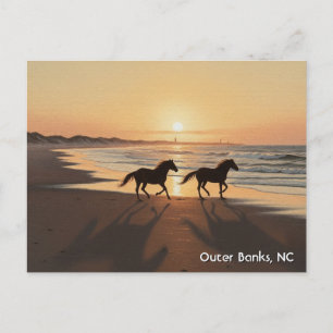 Outer Banks North Carolina Travel Postcard