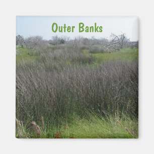 Outer Banks Tidal Salt Marsh Coordinating Items Magnet